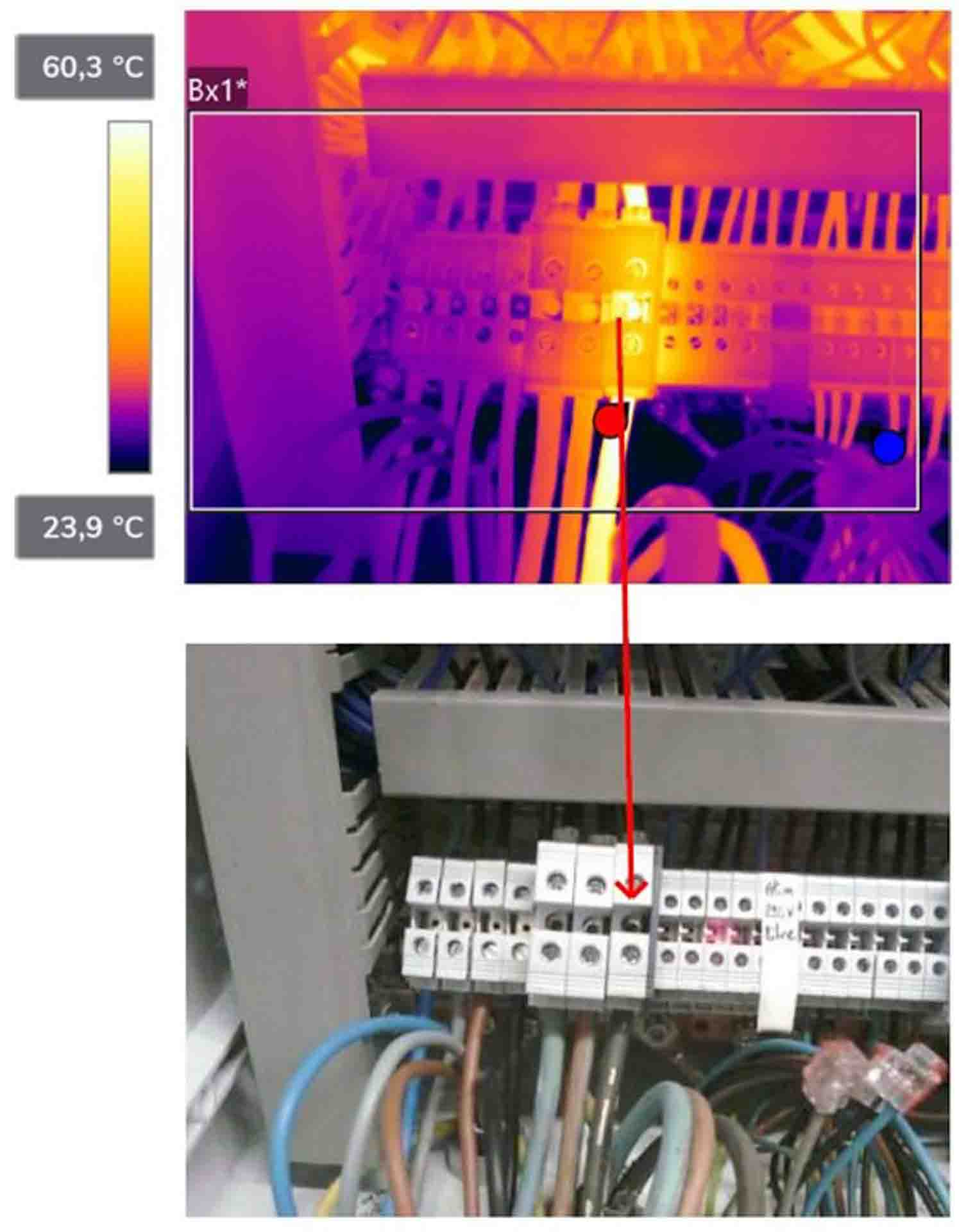 lapize-realisation-49